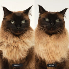 Cat Grooming Brush